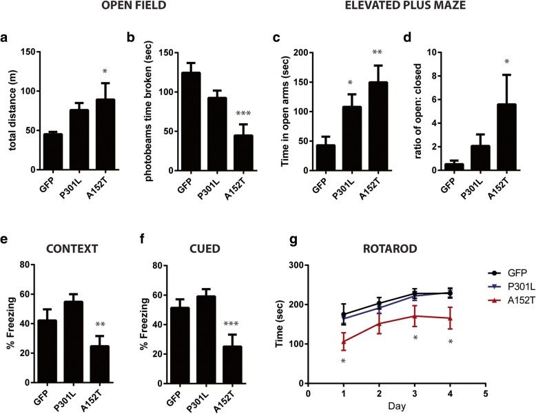 Significant behavioral abnormalities in TauA152T-AAV mice. a and b Behavior in open field analysis revealed an increase in total distance traveled (a F = 3.3, p = 0.04) and decrease in time spent breaking photobeams (b F = 10.51, p = 0.0002) in TauA152T-AAV compared to either GFP-AAV or TauP301L-AAV mice. c and d Exploratory behavior was also evaluated in elevated plus maze (EPM), which detected a significant increase in the time Tau-AAV mice spent in open arms (c F = 5.71, p = 0.006), as well as an increase in TauA152T-AAV mice in the ratio of time spent in open to closed arms (d F = 4, p = 0.026). e and f Cognitive function was assessed by fear conditioning, which demonstrated that TauA152T-AAV mice are significantly impaired in both context (e F = 5.62, p = 0.0067) and cued (f F = 7.835, p = 0.0012) versions of the task. g Rotarod was utilized to measure motor function, exposing significant motor impairment in TauA152T-AAV mice (Day 1: F = 5.18, p = 0.009; Day 3: F = 3.33, p = 0.04; Day 4: F = 4.4, p = 0.018). *p < 0.05, **p < 0.01, ***p < 0.001