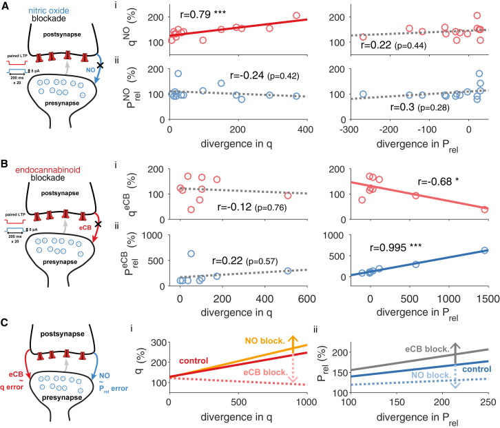 Feedback Control of Expression Loci Requires Endocannabinoid and Nitric Oxide SignalingLeft: schematic of pre- and postsynapse with LTP protocol and pharmacological intervention used (data from Sjöström et al., 2007). Middle: scatterplot of observed changes in q (i) and Prel (ii) over the predicted divergence in q. Right: scatterplot of observed changes in q (i) and Prel (ii) over the predicted divergence in Prel.(A) Nitric oxide (NO) blockade data.(B) Endocannabinoid (eCB) blockade data.(C) Summary of blockade experiments. Control LTP (dark red and blue lines) was obtained using the same protocol, but without drug wash-in (see Figure S2). Alternative models did not provide a parsimonious explanation for the role of eCB and NO (cf.Figure S9).