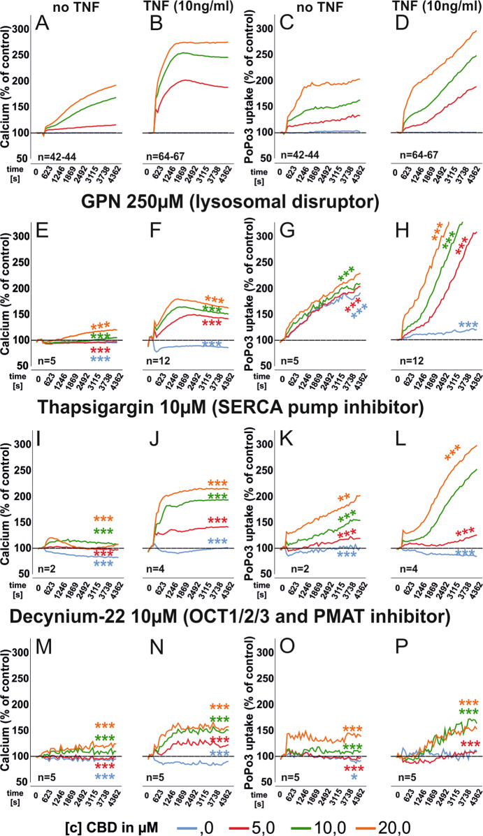 Modulation of intracellular calcium levels and PoP3 uptake of RASF by CBD with concomitant manipulation of lysosomal and endoplasmatic reticulum calcium stores or inhibition of organic cation transport.Mean intracellular calcium mobilization (a, b, e, f, i, j, m, n) and mean PoPo3 uptake (c, d, g, h, k, l, o, p) of RASF after CBD challenge and concomitant inhibition with the antagonists given in the figure. ANOVA with Dunnett’s T3 post-hoc test was used for all comparisons. ***p < 0.001.