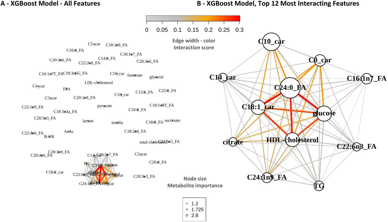 Explainability network of the XGBoost model, combined with interaction scoresNetwork representing variable as nodes from explainability and interactions score as edge from the H-Friedman statistics. A - All variables used in the XGBoost model are displayed, edges are colored for positive interaction scores. B - A filtered network highlighting metabolites with overall interaction strengths above 0, edges showing positive interaction scores, nodes representing importance of each metabolite based on the global explainability drop-out loss value from Figure 2. Abbreviations - AcAc = Acetoacetate, BHB = Beta-hydroxybutyrate, car = carnitine, FA = Fatty Acid, FFA = Free Fatty Acids, HFrEF = Heart Failure with Reduced Ejection Fraction, HDL = High-Density Lipoprotein, LDL = Low-Density Lipoprotein, TG = Triglycerides,XGBoost = eXtreme Gradient Boosting.