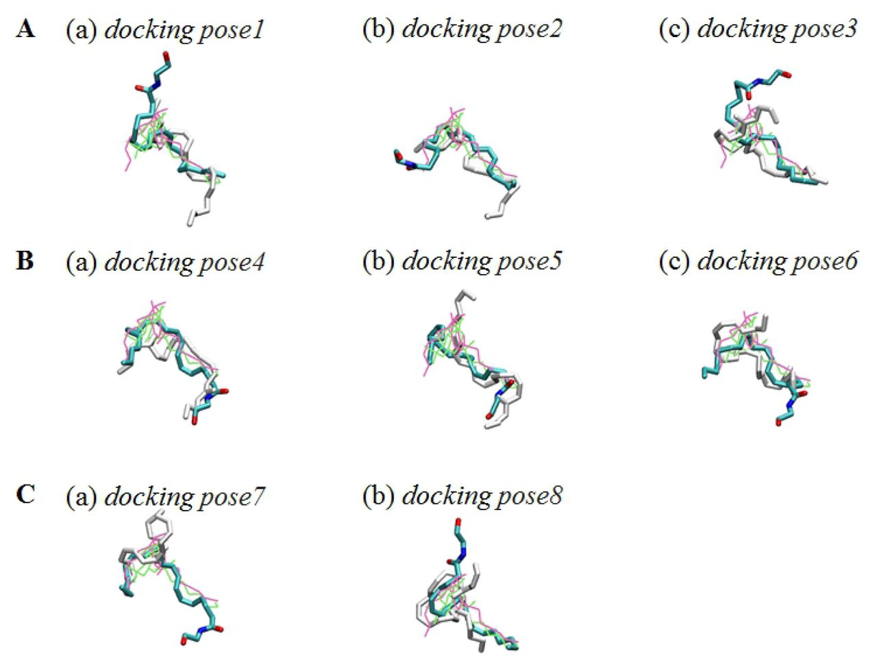 Overlay of the eight docking poses and equilibrated poses.(A) AEA docking pose Group 1 (docking pose1, docking pose2, and docking pose3). (B) AEA docking pose Group 2 (docking pose4, docking pose5, and docking pose6). (C) AEA docking pose Group 3 (docking pose7 and docking pose8). The eight docking poses (in white) and equilibrated poses (in atom type) were superimposed to AM11542 (in green) and CP55940 (in mauve) in the X-ray crystal structures of AM11542-bound CB1 receptor [6] and CP55940-bound CB1 receptor [7]. The alignment rule of the receptors is same as in Fig 4. Color coding: carbon, cyan; oxygen, red; and nitrogen, blue. Hydrogen atoms are omitted for clarity.