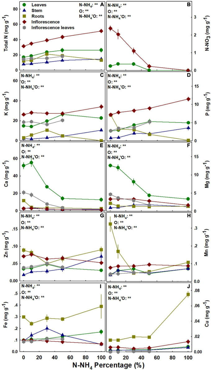 Effect of NH4/NO3 ratio on nutrient concentration in medical cannabis plants. Total N (A), N-NO3 (B), K (C), P (D), Ca (E), Mg (F), Zn (G), Mn (H), Fe (I), and Cu (J). Presented data are averages ± SE (n = 5). Results of two-way ANOVA indicated as **P < 0.05, F-test; NS, not significant P > 0.05, F-test. In the ANOVA results N-NH4’O represents the interaction between NH4/NO3 ratio and plant organ.