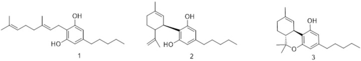 Structure of Cannabigerol (1), Cannabidiol (2), and Δ9-tetrahydrocannabinol (3).