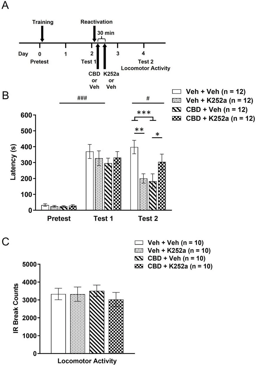 Figure with three panels depicting an experimental timeline, a bar graph of latency in seconds, and a bar graph of locomotor activity. Panel A illustrates the sequence of training, reactivation, and behavioral testing with group assignment to CBD, K252a, or vehicle. Panel B shows bar graphs comparing latency across four groups at pretest, test 1, and test 2 with statistical markers (#, *, **, ***). Panel C presents bar graphs of infrared break counts for locomotor activity, indicating no significant group differences. Group legends and sample sizes are included.