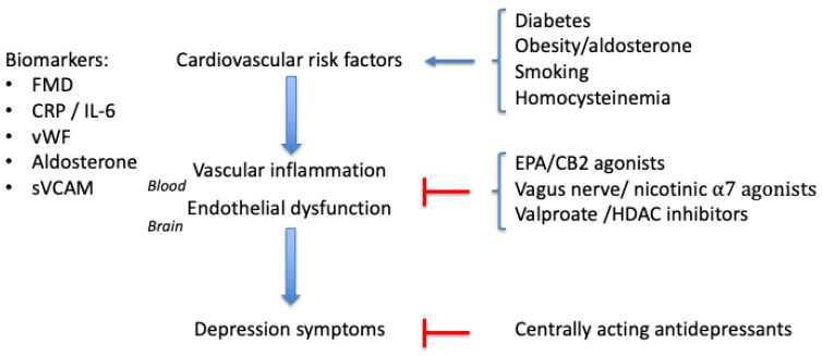Diabetes and other risk factors for atherosclerosis promote vascular inflammation and endothelial dysfunction. Biomarkers for this process are FMD (flow-mediated dilation), CRP (C-reactive protein), proinflammatory cytokines like interleukin-6, von Willebrand factor (vWF), aldosterone, or soluble vascular cell adhesion molecule (sVCAM). Putative treatments specific for depression secondary to vascular inflammation are eicosapentaenoic acid (EPA), cannabis CB2 receptor agonists, Vagus nerve stimulation, agonists for the nicotinic α7 receptors, and HDAC (histone deacetylase) inhibitors, like valproate.
