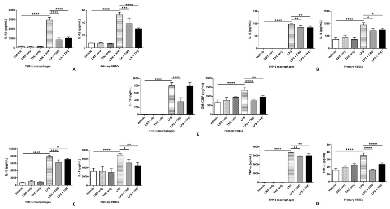 Effect of cannabinoids on the levels of cytokines in THP-1 macrophages and primary human bronchial epithelial cells. (A): CBD and THC decreased the levels of IL-1β after LPS + ATP stimulation in THP-1 macrophages and primary HBECs: The levels of released IL-1β in the cell supernatants were measured using ELISA kit (R&D systems) and quantified using one-way ANOVA with Tukey’s multiple-comparison test. Four independent experiments (n = 4) from THP-1 and primary human bronchial epithelial cell supernatants obtained after pre-treatment with CBD or THC for 30 min and LPS stimulation (3 h for THP-1 cells and 8 h for primary HBECs) followed by ATP treatment for 1 h were performed, and data are expressed as means ± SD; *** p < 0.001, **** p < 0.0001. Each independent experiment was run in duplicates. (Abbreviation: LA: LPS + ATP; HBECs: Human bronchial epithelial cells). (B): CBD and THC decreased the levels of IL-6 after LPS stimulation in THP-1 macrophages and primary HBECs: The levels of released IL-6 in the cell supernatants were measured using multiplex ELISA and quantified using one-way ANOVA with Tukey’s multiple-comparison test. Four independent experiments (n = 4) from THP-1 and primary human bronchial epithelial cell supernatants obtained after pre-treatment with CBD or THC for 30 min and LPS stimulation (3 h for THP-1 cells and 8 h for primary HBECs) were performed, and data are expressed as means ± SD; * p < 0.05, ** p < 0.01, **** p < 0.0001. Each independent experiment was run in duplicates. (Abbreviation: HBECs: Human bronchial epithelial cells). (C): CBD and THC decreased the levels of IL-8 after LPS stimulation in THP-1 macrophages and primary HBECs: The levels of released IL-8 in the cell supernatants were measured using multiplex ELISA and quantified using one-way ANOVA with Tukey’s multiple-comparison test. Four independent experiments (n = 4) from THP-1 and primary human bronchial epithelial cell supernatants obtained after pre-treatment with CBD or THC for 30 min and LPS stimulation (3 h for THP-1 cells and 8 h for primary HBECs) were performed, and data are expressed as means ± SD; * p < 0.05, ** p < 0.01, **** p < 0.0001. Each independent experiment was run in duplicates. (Abbreviation: HBECs: Human bronchial epithelial cells). (D): CBD and THC decreased the levels of TNF-α after LPS stimulation in THP-1 macrophages and primary HBECs: The levels of released TNF-α in the cell supernatants were measured using multiplex ELISA and quantified using one-way ANOVA with Tukey’s multiple-comparison test. Four independent experiments (n = 4) from THP-1 and primary human bronchial epithelial cell supernatants obtained after pre-treatment with CBD or THC for 30 min and LPS stimulation (3 h for THP-1 cells and 8 h for primary HBECs) were performed, and data are expressed as means ± SD; ** p < 0.01, **** p < 0.0001. Each independent experiment was run in duplicates. (Abbreviation: HBECs: Human bronchial epithelial cells). (E): CBD decreased the levels of IL-10 after LPS stimulation in THP-1 macrophages whereas CBD and THC decreased the levels of GM-CSF after LPS stimulation in primary HBECs: The levels of released IL-10 and GM-CSF in the cell supernatants were measured using multiplex ELISA and quantified using one-way ANOVA with Tukey’s multiple-comparison test. Four independent experiments (n = 4) from THP-1 and primary human bronchial epithelial cell supernatants obtained after pre-treatment with CBD or THC for 30 min and LPS stimulation (3 h for THP-1 cells and 8 h for primary HBECs) were performed and data are expressed as means ± SD; ** p < 0.01, **** p < 0.0001. Each independent experiment was run in duplicates. (Abbreviation: HBECs: Human bronchial epithelial cells).