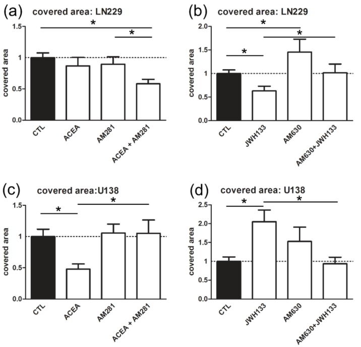 Invasiveness of glioblastoma cells was analyzed in a co-culture model with murine organotypical slice cultures. (a,b) Treatment with AM281 (1 µM) had no significant effect on the covered area, whereas coincubation of AM281 with ACEA (10 µM) led to strong anti-invasive effect in LN229. Application of AM630 (1 µM) alone led to significant increase in invasiveness of LN229. Treatment with combination of AM630 with JWH133 reversed the JWH133 (10 µM) mediated reduction in invasiveness indicating that previously observed decrease in covered area was mediated by CB2 receptor (LN229: nLN229 CTL = 60, nLN229 ACEA = 34, nLN229 AM281 = 33, nLN229 ACEA+AM281 = 35, nLN229 JWH133 = 18, nLN229 AM630 = 19, nLN229 JWH133+AM630 = 15). (c,d) Coincubation of ACEA and AM281 reversed the decrease in the covered area mediated by ACEA in U138-MG cells. Incubation with JWH133 led to an increase in the invasiveness, which was abolished by co-application with AM630 (U-138 MG: nU138 CTL = 69, nU138 ACEA = 23, nU138 AM281 = 32, nU138 ACEA+AM281 = 21, nU138 JWH133 = 32, nU138 AM630 = 24, nU138 JWH133+AM630 = 25).