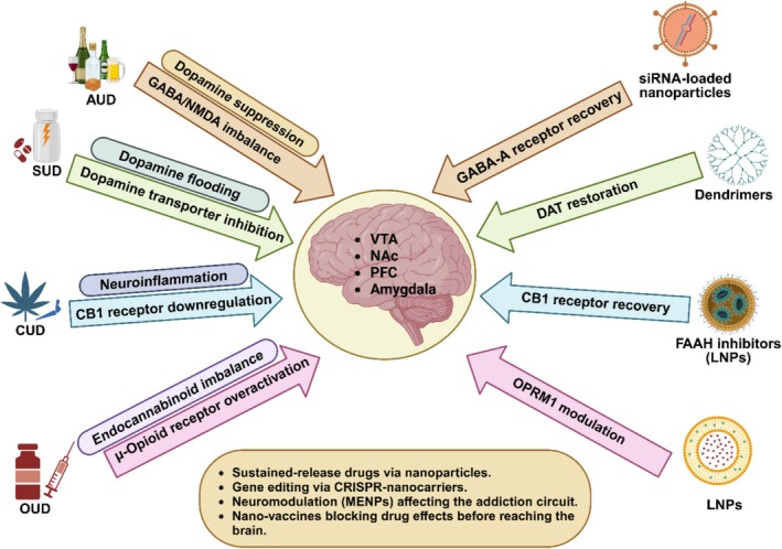 Neurobiological mechanisms of substance use disorders (SUDs) and nanomedicine‐driven interventions.