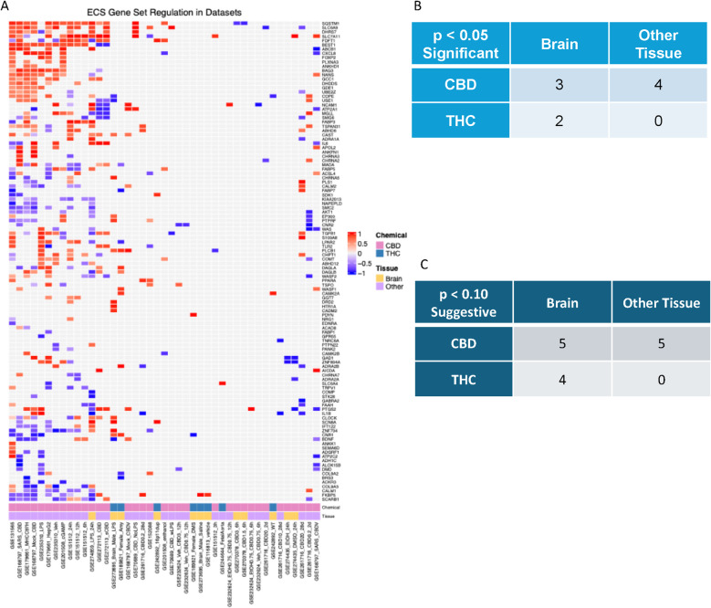 Correlation and overlap analysis reveals the extent of ECS gene involvement in CBD- and THC-induced transcriptome perturbations. A The normalized log2 fold changes of the ECS genes detected as significant DEGs in each study are shown in this heatmap, with more highly upregulated genes shown in red hues and more highly downregulated genes shown in blue hues. Clusters of studies with similar directional changes of each gene indicate that the genes are consistently affected by CBD and THC exposure across datasets, and these results indicate ECS gene involvement in CBD- and THC-induced gene perturbations across studies. B-C Fisher’s exact test was performed to determine if the ECS gene set is significantly enriched in each CBD and THC dataset. The number of datasets derived from brain and peripheral tissue datasets that showed significant enrichment of the ECS gene set at a significant (p < 0.05, B) and suggestive (p < 0.10, C) threshold is shown in each table