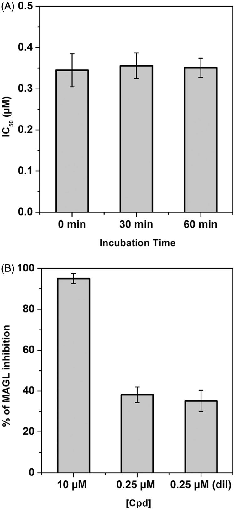 Compound 20b-MAGL inhibition analysis. (A) IC50 (µM) values of 20b at different preincubation times with hMAGL (0, 30 and 60 min). (B) Dilution assay: the first two columns indicate the inhibition percentage of compound 20b at a concentration of 10 and 0.25 µM. The third column indicates the inhibition percentage of compound 20b after dilution (final concentration = 0.25 µM).