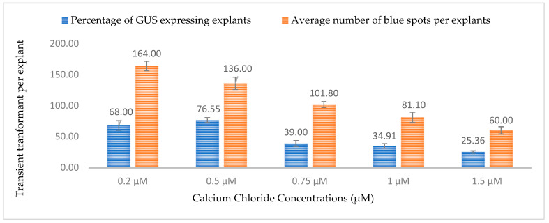 Effect of different calcium chloride concentrations on transformation efficiency based on transient β-glucuronidase (GUS) expression. Infection frequency was calculated as the percentage of GUS-positive explants from 3-week-old leaves out of the total number of explants examined. The number of GUS foci per explant is the average number of GUS-positive foci in at least three independent explants. The data are represented as means ± standard error (SE). To optimize the individual parameter, each experiment contained 25 to 30 samples and each experiment had 3 replications (n = 75).