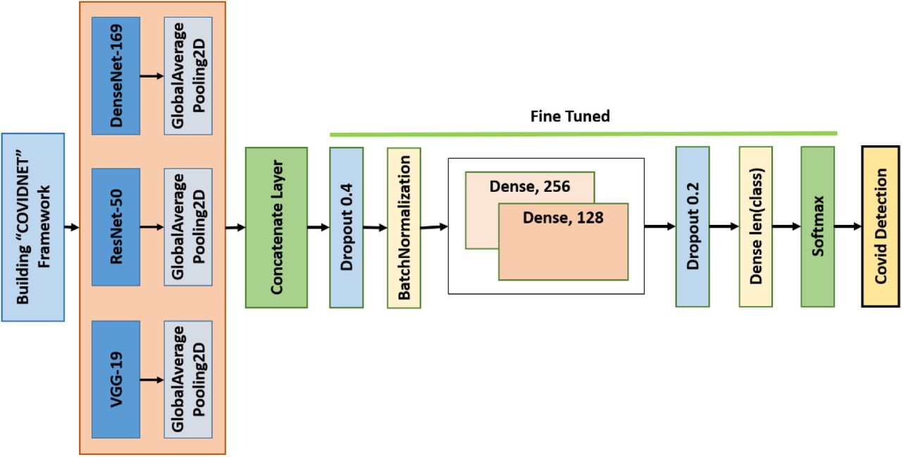 Fine-tuned process of the “CovidMulti-Net” framework
