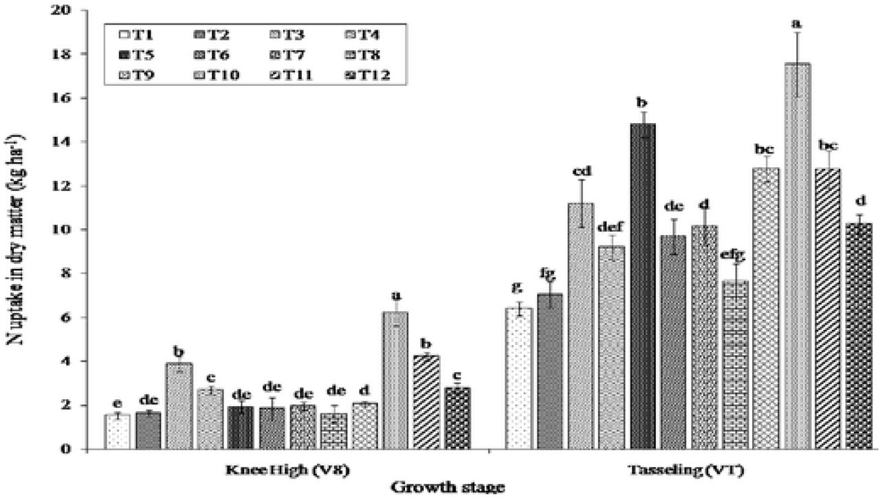 Effect of the treatment on N uptake in dry matter at knee high (V8) and tasseling (VT) stages of maize (pooled mean of three years data). Means bars marked by the same letters are not significantly different according to Tukey’s Honest Significant Difference (HSD) (P= 0.05).