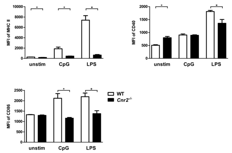 Reduced surface expression of MHC II and co-stimulatory molecules by Cnr2−/− BM-DCs after Toll-like receptor (TLR) stimulation. Surface expression of MHC II, CD40, and CD86 by WT (white bars) or Cnr2−/− (black bars) BM-DCs cultured for 16 h in the absence (unstim) or presence of 1 nmol/mL CpG or 100 ng/mL LPS. Data show median fluorescence intensity (MFI) ± SEM (n = 4–5 animals/group). * p < 0.05.