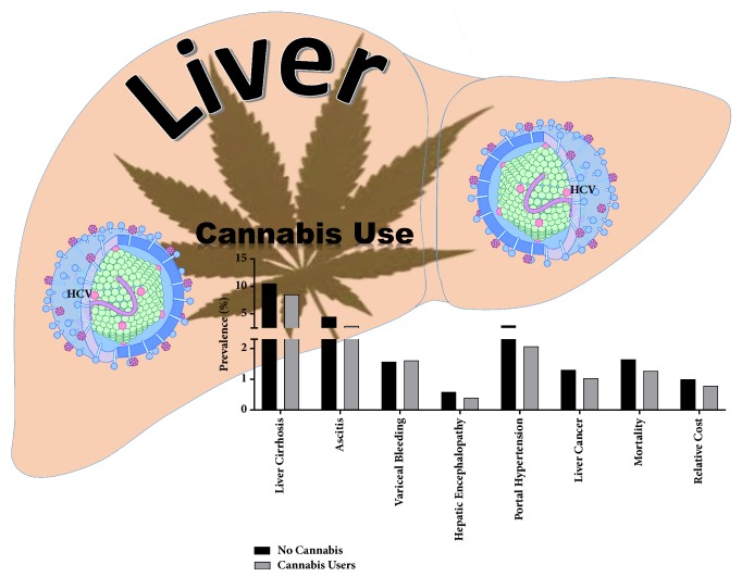 Summary schematic of the effects of cannabis use by HCV infected individuals and liver disease associated parameters. Our observations suggest that cannabis use by HCV infected individuals is associated with significant reduction in adverse progressive disease associated pathologies. Further, cannabis users had an overall lower cost of disease management compared to noncannabis users. Schematic illustrations made use of some motifolio templates (http://www.motifolio.com/).
