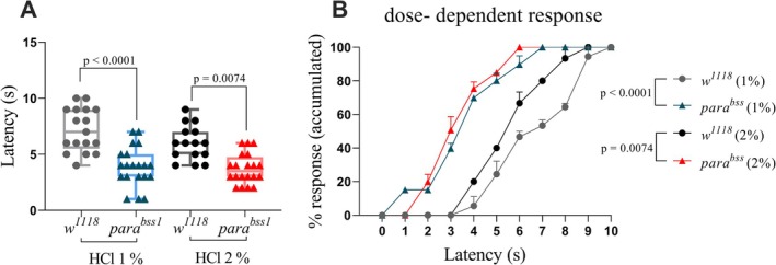 para bss1 exhibit increased sensitivity to chemical nociception compared to w 1118 . (A) Mean response times to 1% and 2% HCl were significantly shorter in third‐instar para bss1 larvae compared to w 1118 . Statistical analysis using two‐way ANOVA revealed p < 0.0001 for 1% HCl and p = 0.0008 for 2% HCl. (B) Cumulative percentage of larvae displaying a full 360° nociceptive rolling response over time. When exposed to 1% HCl, 60% of para bss1 larvae responded within 3 s, whereas w 118 larvae showed no response at this time point (p < 0.0001). Under 2% HCl exposure, 60% of the para bss1 responded within 4 s, while w 1118 larvae only reached that threshold by 6.5 s (p = 0.0008). Each box represents the interquartile range, with the horizontal line indicating the mean. The whiskers represent the minimum and maximum values, respectively. Data are presented as individual data points (n ≥ 15 larvae per group).