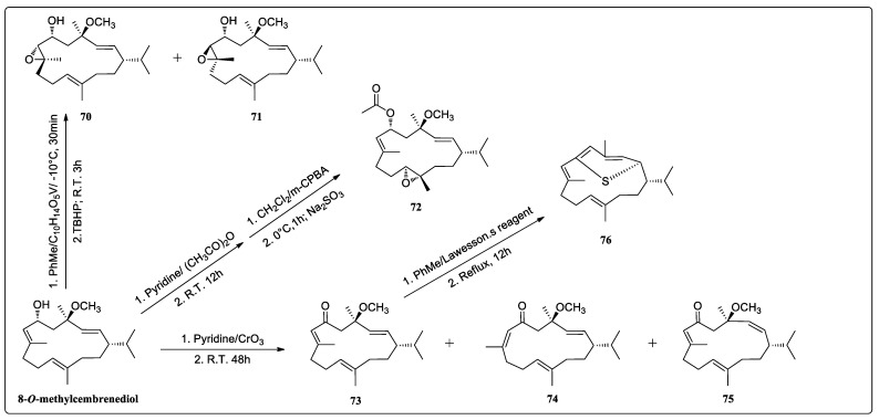 Semisynthetic esterification, oxidation, and epoxidation of 8-O-methylcembremediol (70–76).