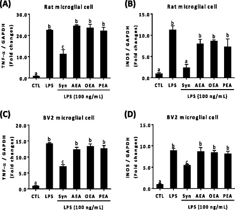 Suppression of LPS-induced TNF-α and iNOS expression specific to synaptamide. Cells were incubated with LPS (100 ng/mL) and acylethanolamides at 10 nM. Acylethanolamides were added immediately after LPS exposure. Levels of TNF-α and iNOS (a, b; rat primary microglial cell, c, d; BV2 murine microglial cell) mRNA were determined by qPCR after 1 h incubation. The data represent the mean ± SEM at least three independent experiments. Means designated with the same letter are not significantly different