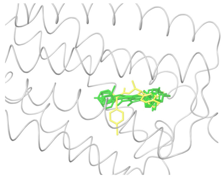 Docking antagonist ligands (green) listed in Table 1 into the structure of activated CB1 obtained from the crystal complex with AM11542. Only one ligand could penetrate into the agonists’ tail binding pocket (marked in yellow).