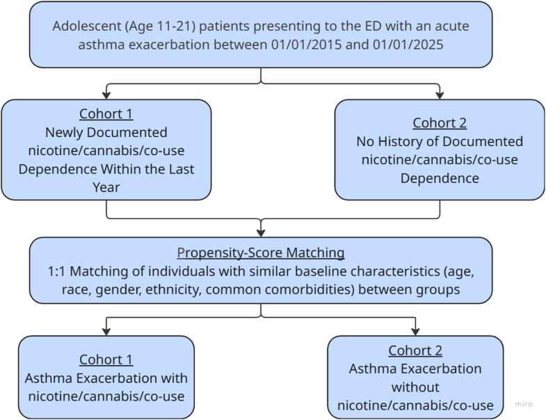 Flowchart of TriNetX query design. ED, emergency department.