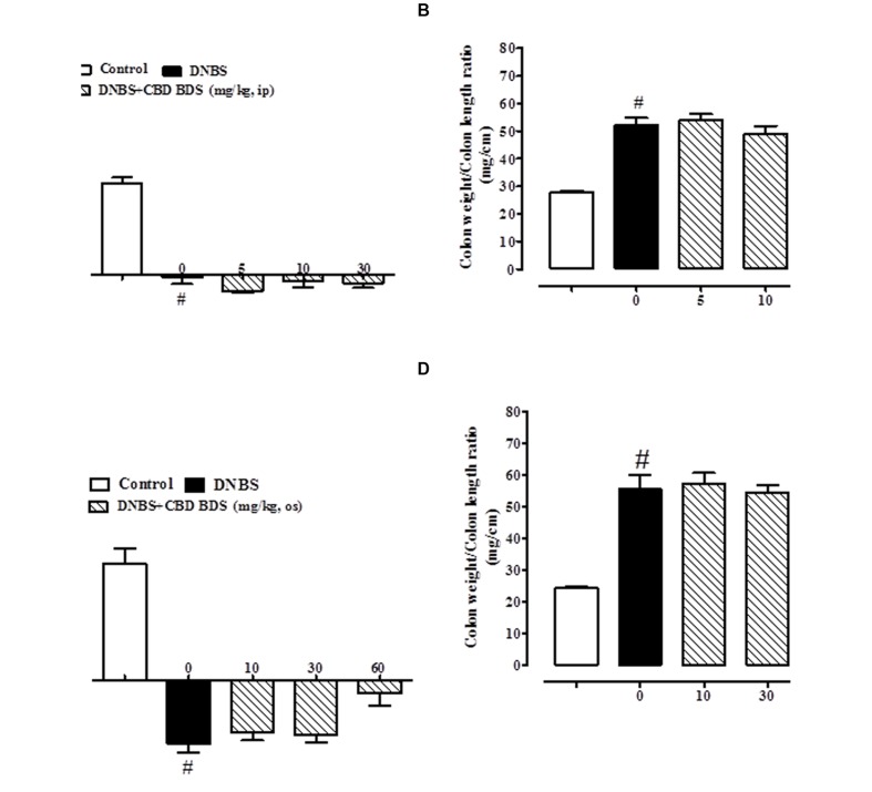 Effect of CBD BDS (5–30 mg/kg, intraperitoneally) on body weight (A) and colon weight/colon length ratio(B) and effect of CBD BDS (10–60 mg/kg, oral gavage) on body weight (C) and colon weight/colon length ratio(D) in DNBS induced colitis in mice (DNBS, 150 mg/kg, intracolonically). CBD BDS was given once a day for three consecutive days starting from 1 day after DNBS administration. Mice were euthanized 3 days after DNBS. Mice were weighted before DNBS (or vehicle) administration and immediately before the sacrifice. Bars are mean ± SEM of 8–12 mice for each experimental group. #p < 0.001 vs. control and ∗p < 0.05 vs. DNBS alone.
