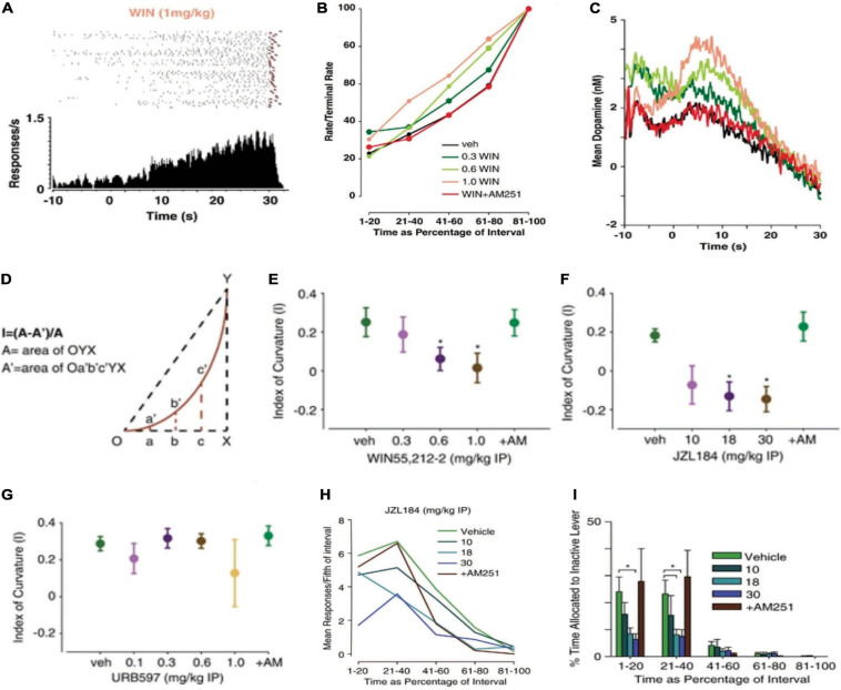 Cannabinoids modulate a temporally engendered pattern DA release during reinforcement maintained under an FI schedule and adjunctive behavior. An illustrative cumulative response pattern (top: raster plots; bottom: corresponding peri-event histograms) of a WIN-treated mouse responding for food reinforcement under a FI schedule. The pattern of lever pressing lawfully increases in the FI task to form a scalloped response pattern. The raster plot shows responses (black ticks) preceding food reinforcement (red triangle) across the 30 s interval. All trials are shown in chronological order as they occurred in a representative experimental session. The peri-event histogram shows the summation of responding under each corresponding raster plot. (A). WIN 55,212-2 accelerated the timing of scallop response pattern in a dose- and CB1-dependent manner. Mean behavioral response patterns following cannabinoid administration are plotted as a function of the interval duration (B). WIN amplified a temporally engendered pattern of DA release in a dose- and CB1-dependent manner. Mean DA concentration traces for each drug treatment conditions are plotted as a function of the interval (C). Cannabinoid-induced changes in interval timing were quantified by assessing the index of curvature—a computational measure of the extent and direction of change in the temporal response pattern produced by the FI schedule (D). WIN produced a negative index of curvature, suggesting an acceleration of timing behavior (E). Increasing 2AG with JZL184, but not increasing anandamide with URB597, accelerated interval timing (F,G). eCB-induced changes in reinforcement irrelevant or adjunctive behavior were assessed by quantifying responses on an inactive lever. Mean responses on the inactive lever initially increase before declining through the interval (H). JZL184 significantly decreased the percentage of time spent responding on the inactive lever, suggesting that adjunctive behavior was reduced by elevating 2AG levels (I). These data show that cannabinoids module periodically reinforced behavior and DA release under an FI schedule and, might suggest that a delicate balance of 2AG and DA release are necessary to produce the sweet-spot of intermittency that produces adjunctive behavior. Reproduced from Oleson et al. (2014).