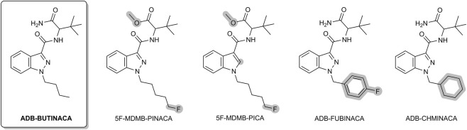 Five synthetic cannabinoid chemical structures are shown and labeled left to right as ADB-BUTINACA, 5F-MDMB-PINACA, 5F-MDMB-PICA, ADB-FUBINACA, and ADB-CHMINACA, each with distinct side chains highlighted.