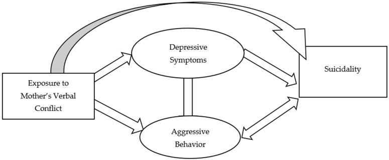 Conceptual framework.