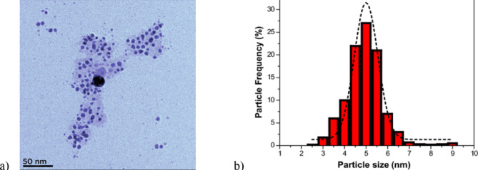 Transmission electron microscope (TEM) image of silver nanoparticles (a) and particle size distribution (b) of Ag-NPs synthesized under optimal conditions32.