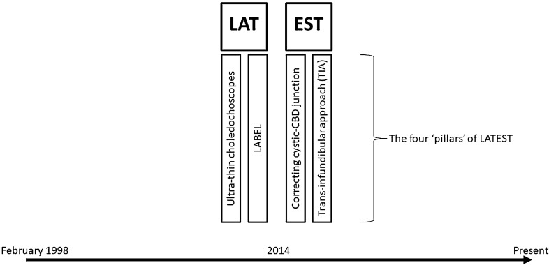 Four ‘pillars’ of Leveraging Access to Technology and Enhanced Surgical Technique (LATEST)