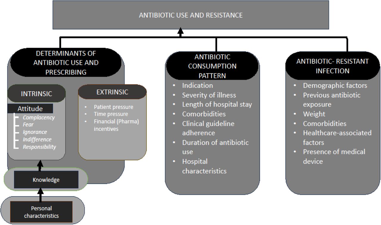 Hybridized theoretical-conceptual framework for describing predictors of antibiotic use and resistance