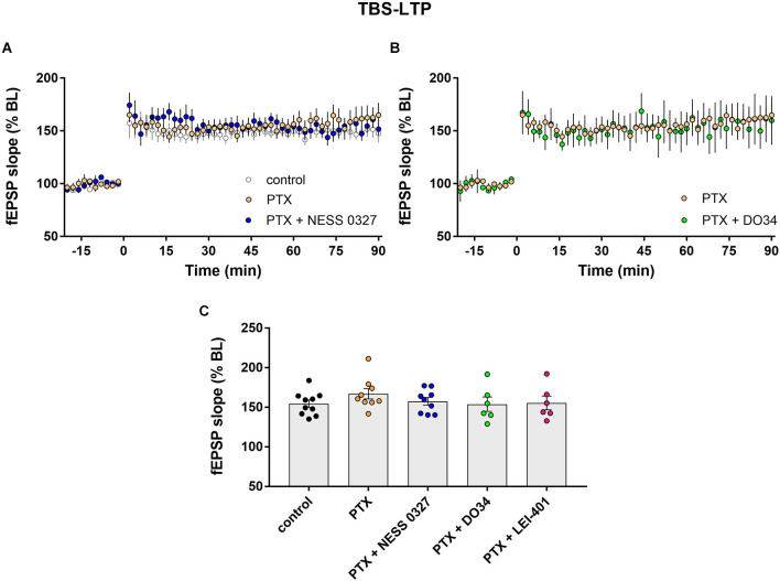 eCB modulation of TBS-LTP requires GABAergic transmission. (A) Example time courses of TBS-LTP induced by one train of TBS delivered at minute 0 in control conditions or in the presence of picrotoxin (PTX) or PTX plus the CB1 receptor antagonist NESS 0327. (B) Example time courses of TBS-LTP induced by one train of TBS in the presence of PTX or PTX plus the DAG-lipase inhibitor DO34. (C) Group data for the magnitude of TBS-LTP at 60 min post-induction under various conditions. Control data repeated from Figure 2.