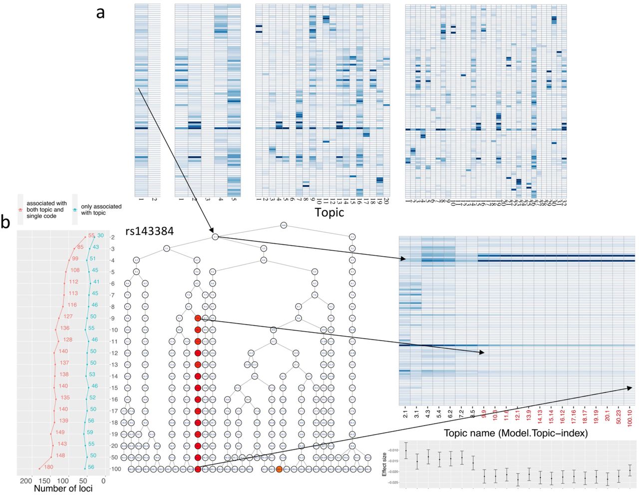 Inference and topic-GWAS results across treeLFA models set with different numbers of topics.a, Averaged inferred topics given by the treeLFA models set with 2, 5, 20 and 100 topics. For each treeLFA model, ten Gibbs chains were trained, and 50 posterior samples of topics were collected from each chain. Posterior samples of topics from different chains are mixed and clustered, and the mean topic vectors are then calculated for each cluster.b, Relationship of topics inferred by different models. All topics inferred by all treeLFA models are organised into a tree structure. Each node on the tree is a topic inferred by a model, and all nodes on the same layer (level) of the tree are all topics inferred by the same treeLFA model (set with a certain number of topics). Each topic in the tree is connected to its most similar topic (measured with the Pearson correlation) in the layer above. Topics associated with the SNP rs143384 are colored according to the –log10(P-value) for the SNP in the corresponding linear regression. Most of the associated topics are in the same branch of the tree, so all topics in this branch are plotted in the heatmap on the right side of the tree, with names of topics (model.topic-index) associated with rs143384 highlighted in red. In the barplot below the heatmap, effect sizes and standard errors of rs143384 given by topic-GWAS for the above topics are plotted. The line plot to the left of the tree shows the total numbers of topic-associated loci and the numbers of topic-associated loci that are not found by single code GWAS for different treeLFA models.