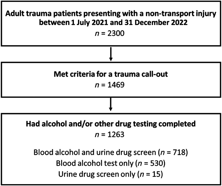 Flowchart summarising alcohol and/or other drug testing in the sample.