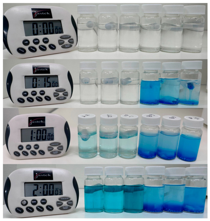 Time-dependent assessment of capsule integrity in different media. The three flasks on the left contain capsules in a pH 1.2 solution, and the three flasks on the right contain capsules in MilliQ water (pH 5.1). The image captures the state of the capsules at 0 h, 15 min, 1 h, and 2 h, highlighting the delayed disintegration in acidic conditions compared to the rapid release at pH 5.1.