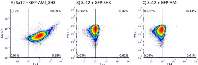 Flow cytometry analysis of the different domains of E-LM12 endolysin. Dot plots showing side scattering (SS) and green fluorescence (FL1) of S. aureus Sa12 cells after incubation with: GFP-AMI_SH3 (A), GFP-SH3 (B) and GFP-AMI (C).