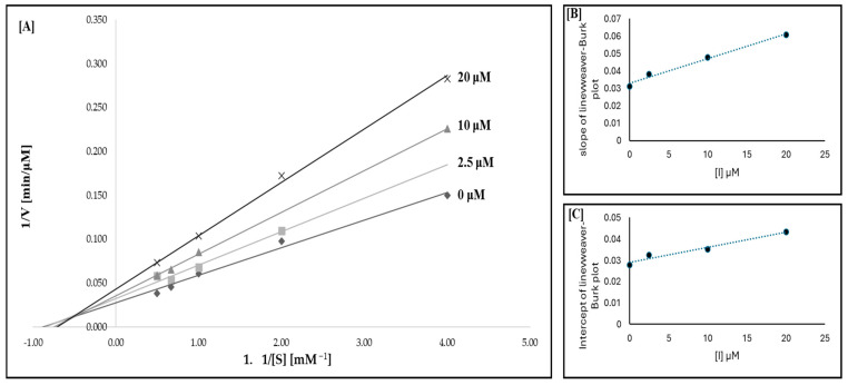 Tyrosinase activity for compound 5: (A) Lineweaver–Burk plot; (B) slope of the Lineweaver–Burk plot as a function of inhibitor concentration; (C) intercept of the Lineweaver–Burk plot as a function of inhibitor concentration.