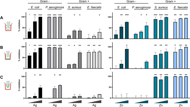 Antibacterial and antibiofilm activities exerted by Ag (left) and Zn (right) coatings against the four bacterial pathogens E. coli, P. aeruginosa, S. aureus, and E. faecalis. The CBD icon on the very left represents the type of analysis corresponding to each panel, with the coating in red and the measured bacterial planktonic cells/biofilm in green. The results are reported as the mean of the percentage of bacterial and biofilm inhibition ± standard deviation. The triangles below each histogram indicate the increasing concentration of each metal tested (from low (L), through medium (M), to high (H)). Statistical analysis was performed using one-way Anova test. Differences were considered significant compared to control (bacterial growth w/o coating) for p < 0.05 (* p < 0.05, ** p < 0.01, *** p < 0.001). A Inhibition of the bacterial planktonic growth. B Inhibition of bacterial biofilm formation on the coated well. C Inhibition of the bacterial biofilm formation on the non-coated peg. The absorbance values (OD595) of crystal violet (CV) associated with the amount of biofilm on wells and pegs without metal coating (the control experiment) are reported in Table S1