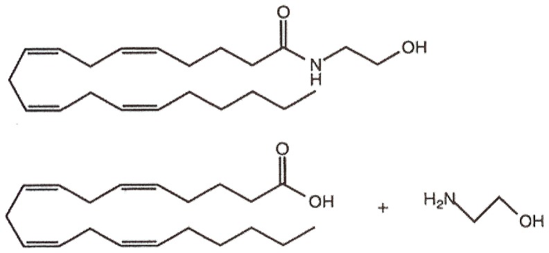 Anandamide (top figure) is metabolized into arachidonic acid and ethanolamine (bottom figures).