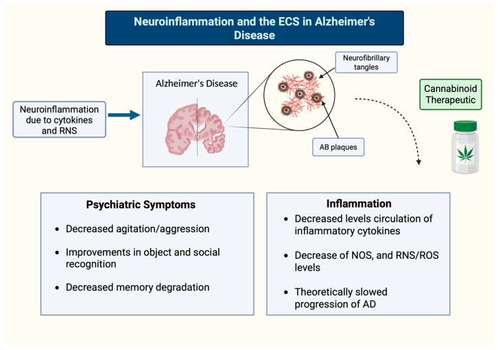 Neuroinflammation and the ECS in Alzheimer’s Disease.
