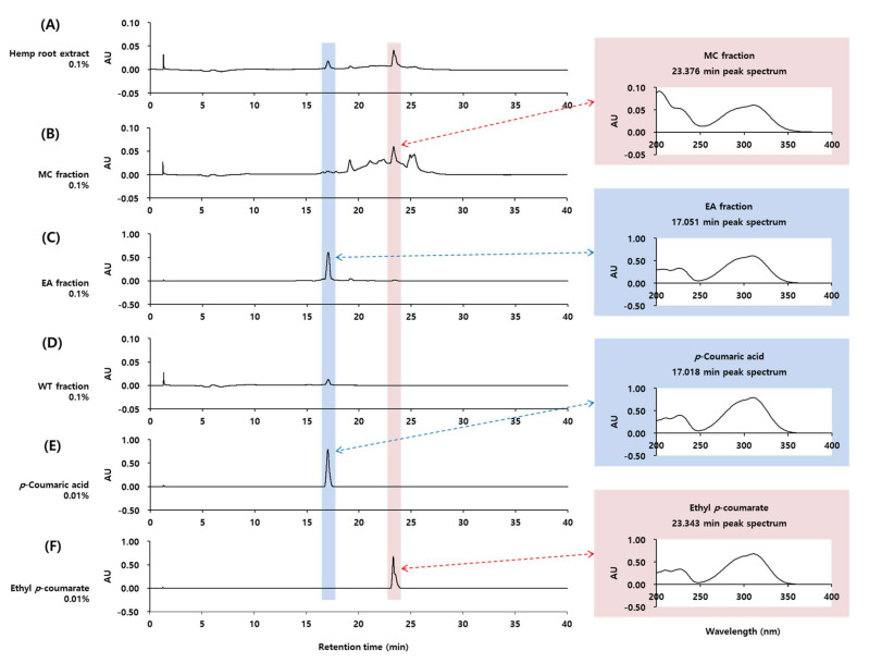 High-performance liquid chromatography with photodiode array detection (HPLC-DAD) analysis of the total extract of hemp roots (A) and its MC fraction (B), EA fraction (C), and WT fraction (D). p-Coumaric acid (E) and ethyl p-coumarate (F) were compared for retention times and absorption spectra. Chromatograms detected at 310 nm and UV absorption spectra of the indicated peaks are shown.