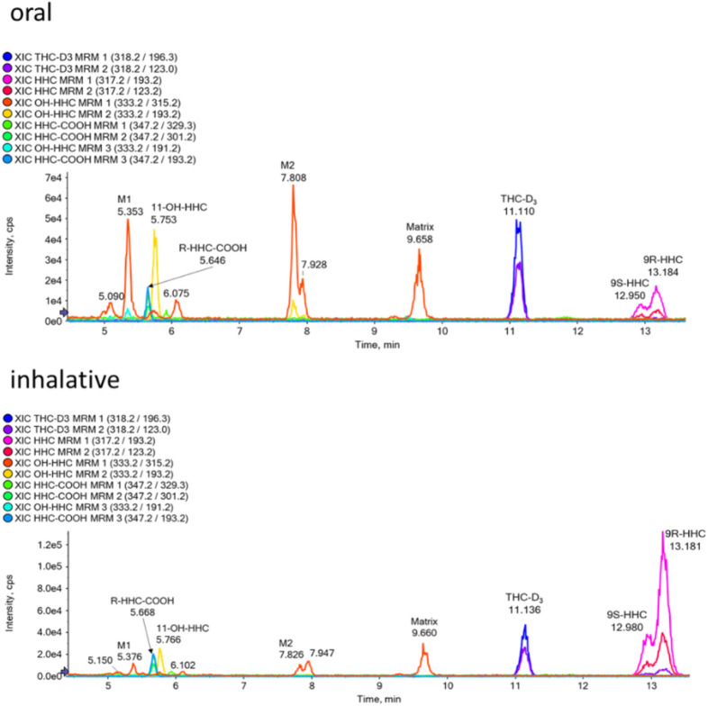 Extracted ion chromatograms of deglucuronidated serum samples from the participant O2, 50 min after the oral ingestion of HHC (top) and from the participant I2, 15 min after the inhalation of HHC (bottom) using the LC-QqLIT method in Bern.