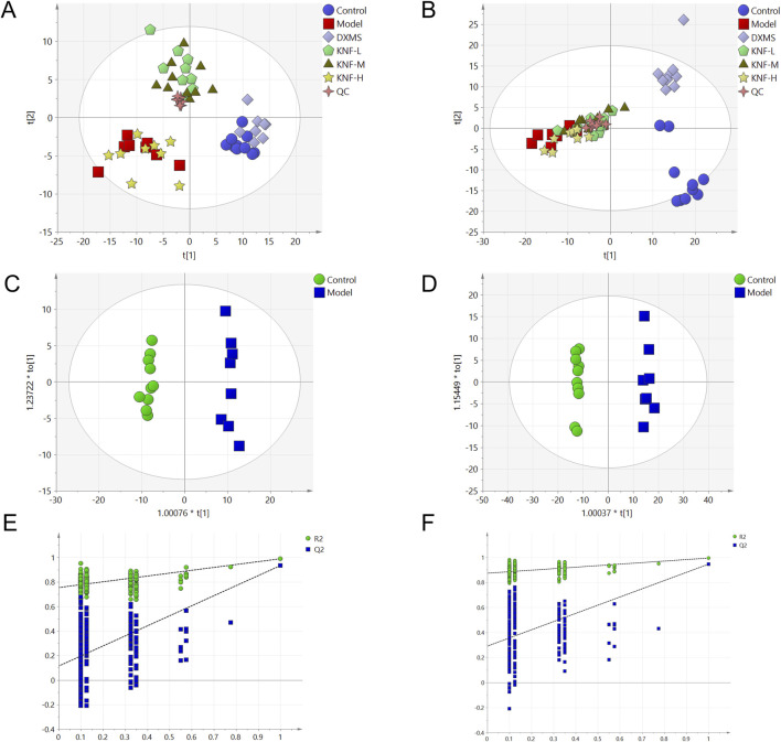 Multidimensional statistical analysis of tissue metabolites. (A) PCA score plot in negative ion mode; (B) PCA score plot in positive ion mode; (C) OPLS-DA score plots from the NC group and model group (n = 10) in negative ion mode; (D) OPLS-DA score plots from the NC group (n = 10) and model group (n = 10) in positive ion mode; (E) the permutation tests in negative ion mode (n = 200); (F) the permutation tests in positive ion mode (n = 200).