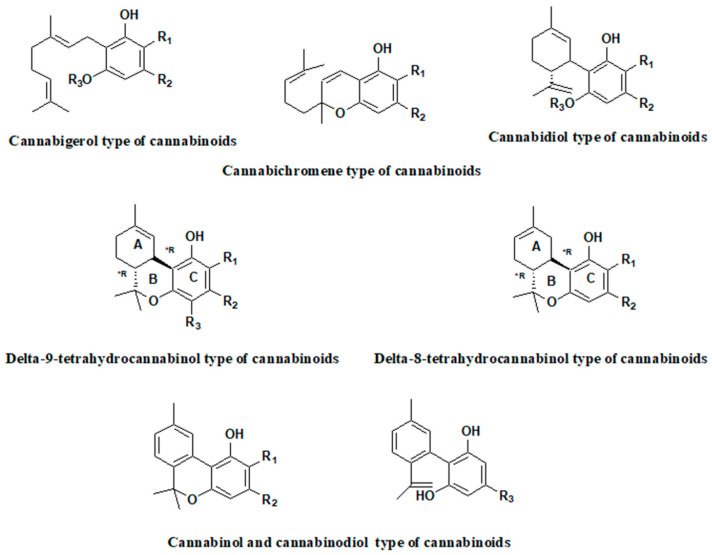 The main cannabinoids present in the hemp extracts.