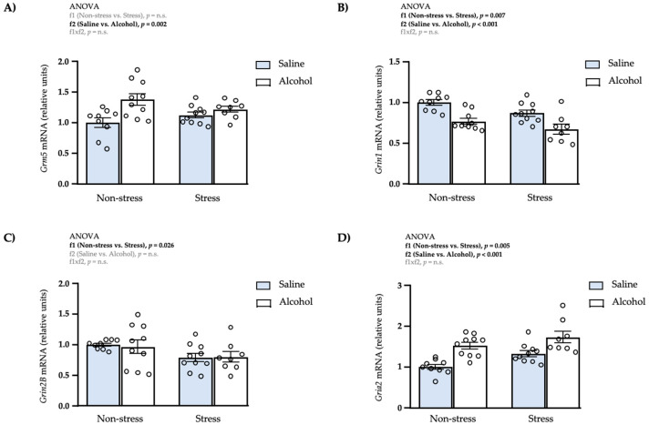 Relative mRNA expression levels of glutamatergic receptor subunits in the mPFC of adult male rats after repeated restraint stress and/or intermittent alcohol exposure during adolescence. Relative mRNA expression of Grm5 (A); Grin1 (B); Grin2B (C); and Gria2 (D) in male adult rats after repeated restraint stress (f1) and/or intermittent alcohol exposure (f2) during adolescence. Bars represent the mean ± SEM (8–10 rats/subgroup). Data were analyzed by two-way ANOVA. p-values in bold denote significant main effects of factors (f1 and f2).