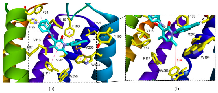 (a) Predicted binding mode of compound 8d in CB2R. Hydrophobic and π-π interactions are shown in dashed lines; (b) Distance between W258 residue and 8d.