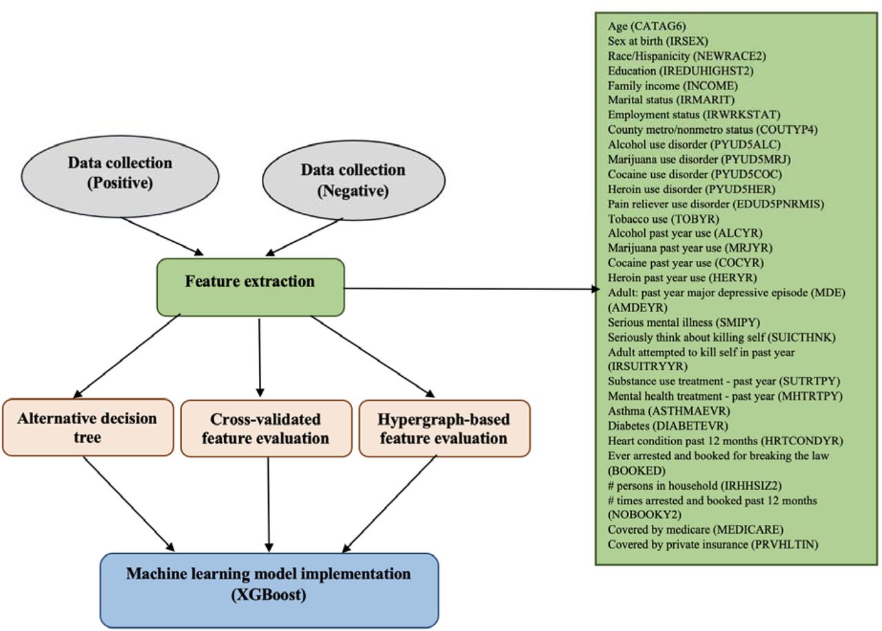 Workflow illustrating the procedure for opioid use disorder detection.