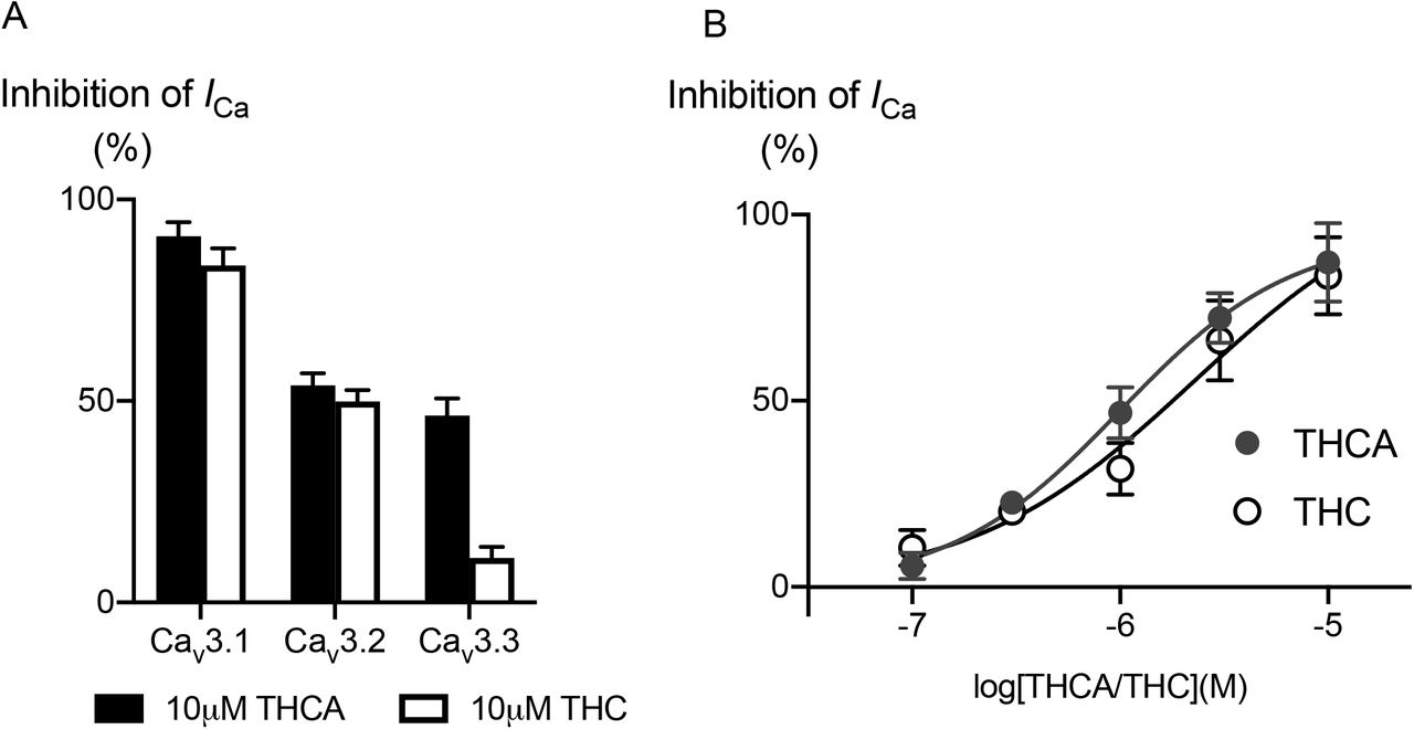 Effects of 10μM THCA and THC on T-type calcium channel current and concentration response curve for THCA and THC effects on CaV3.(A) Peak ICa was elicited by a step from −100 mV to −30 mV; CaV3.1 current was almost completely inhibited by10 μM application of THC and THCA. 10 μM THC and THCA blocked CaV3.2 calcium current about 52% ±3. CaV3.3 current was not affected by10 μM THC but THCA decreased CaV3.3 calcium current by 43% ± 4. (B) Concentration response curves was created to determine the potency of these compounds at CaV3.1. Each point represents the mean ± SEM of 6 cells.