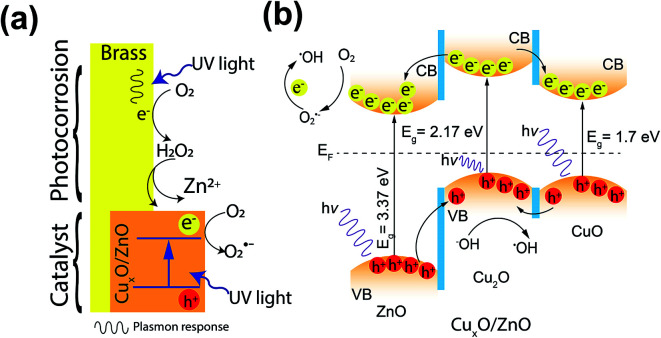 Photocatalytic mechanism on MicroCuZn surface: (a) photocorrosion initiation and formation of patches; and (b) electron–hole transfer mechanism with hydroxyl radical generation where CB is conduction band, VB is valence band, and Ef is Fermi level.81