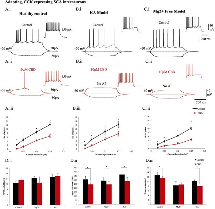 CBD reduces intrinsic excitability of CCK adapting interneurons in CA1. The membrane properties of SCA interneurons, which were CCK positive, were recorded in healthy rats (A, panel i) in control and (A, panel ii) after 10 μΜ CBD bath application. Similar recordings are shown in Mg2+‐free condition (B, panel i), (B, panel ii) and in the KA epileptic model (C, panel i), (C, panel ii). The input–output curves displayed a pseudo‐linear relationship between the number of spikes generated by adapting cells of (A, panel iii) healthy rodents (n = 11), (B, panel iii) Mg2+‐free (n = 5) and (C, panel iii) KA (n = 12) epileptic models with increasing current injections. The number of action potentials of adapting interneurons was decreased after application of CBD. (D) Bar plots representing intrinsic membrane properties of adapting cells in Mg2+‐free (n = 5) and KA epileptic models (n = 12) in comparison to healthy rodents (n = 11). (D, panel i) CBD produced no apparent changes of action potential (AP) threshold of adapting cells. (D, panel ii) The input resistance and (D, panel iii) time constant were decreased by CBD in the disease models. Results are expressed as mean ± SEM. *P ≤ 0.05.